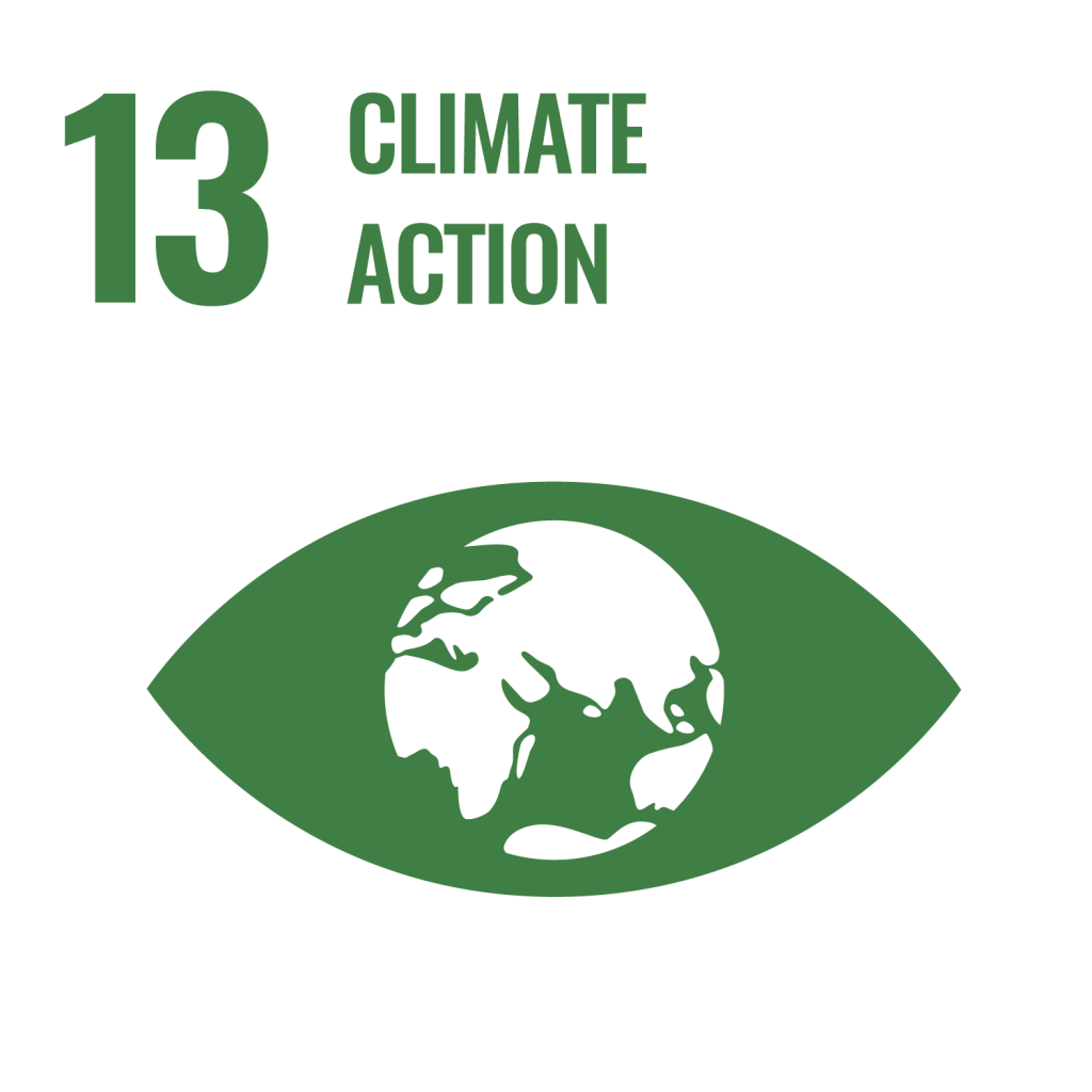 SDG 13 Climate Action icon showing the Earth inside an eye‑shaped outline, symbolizing awareness and action on climate change.