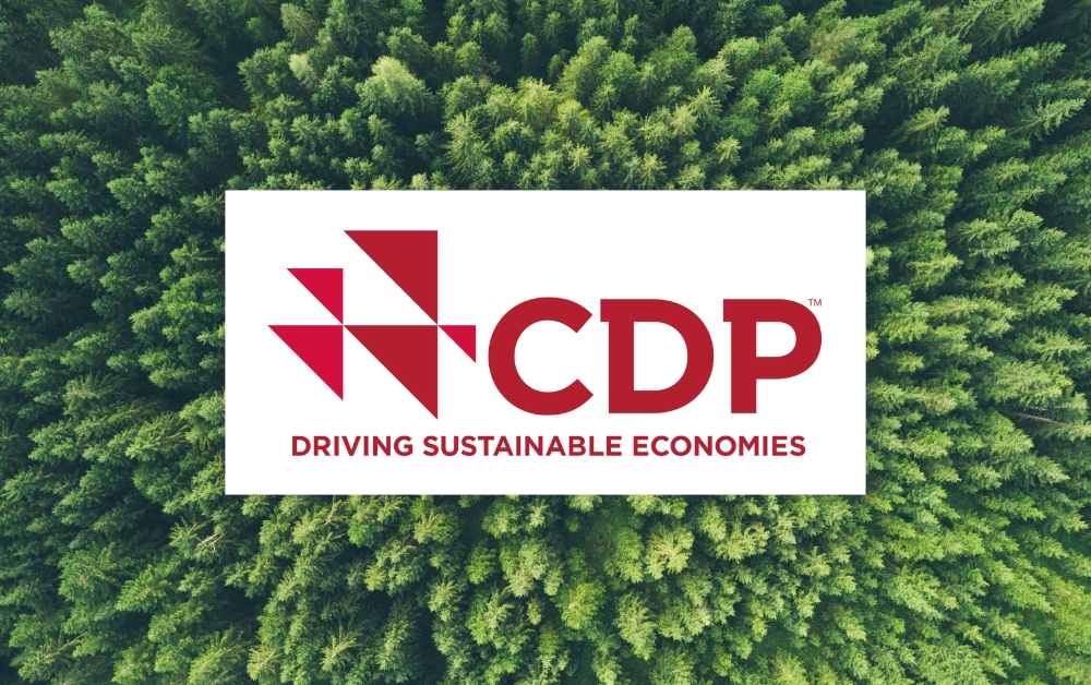 CDP logo