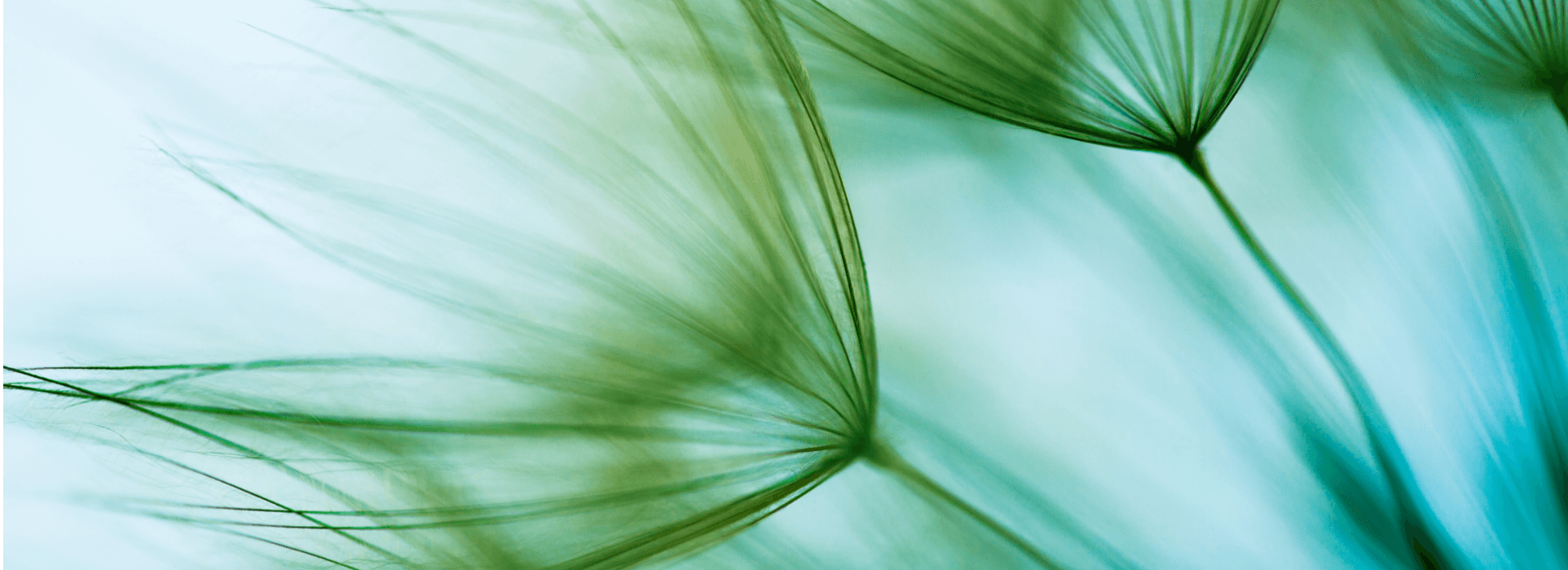 Greener society img