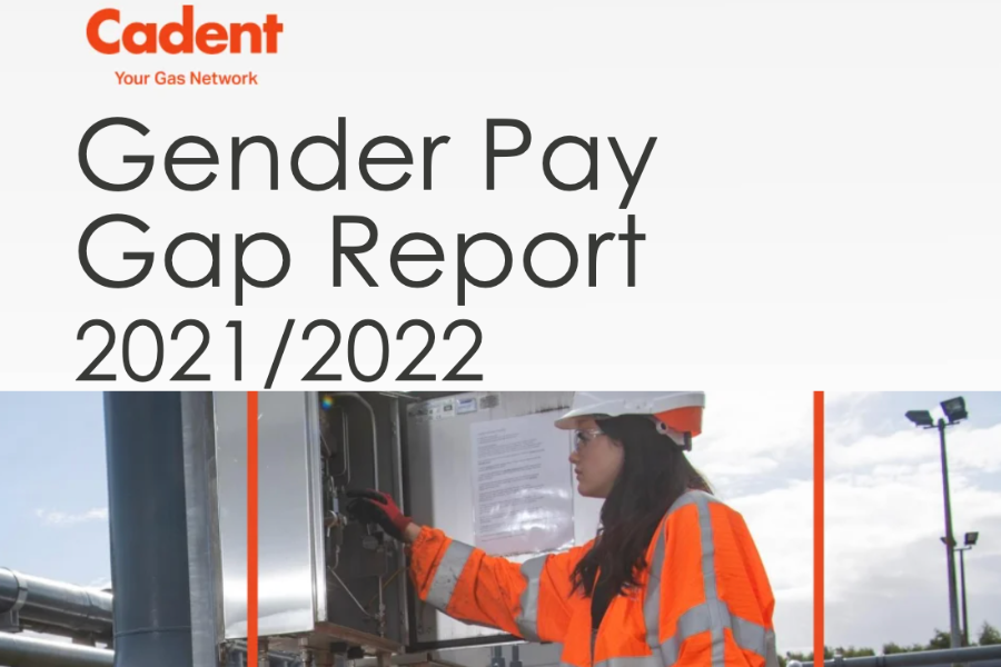a woman in orange safety vest and hardhat
