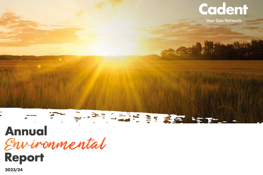a field of grass with the sun setting
