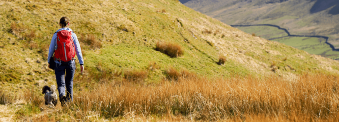 A person with a red backpack hikes with a dog on a grassy hillside under a clear sky. The landscape is expansive and serene, evoking a sense of adventure.